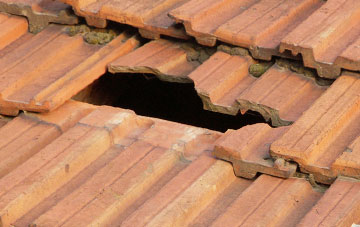roof repair Nenthead, Cumbria